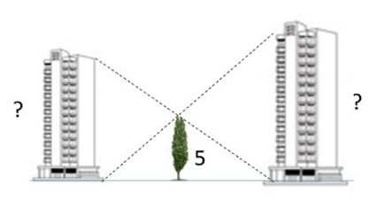 395.Un copac văzut de sus
